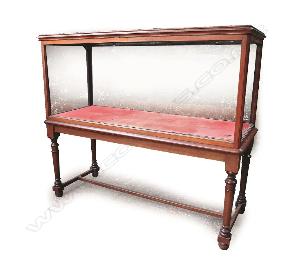 A quality Victorian mahogany free standing museum/shop display cabinet Image 1++