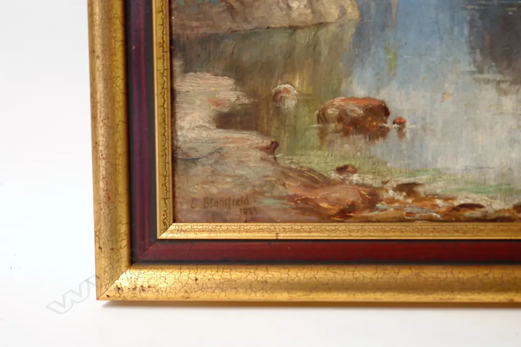 Charles Blomfield Image 1++