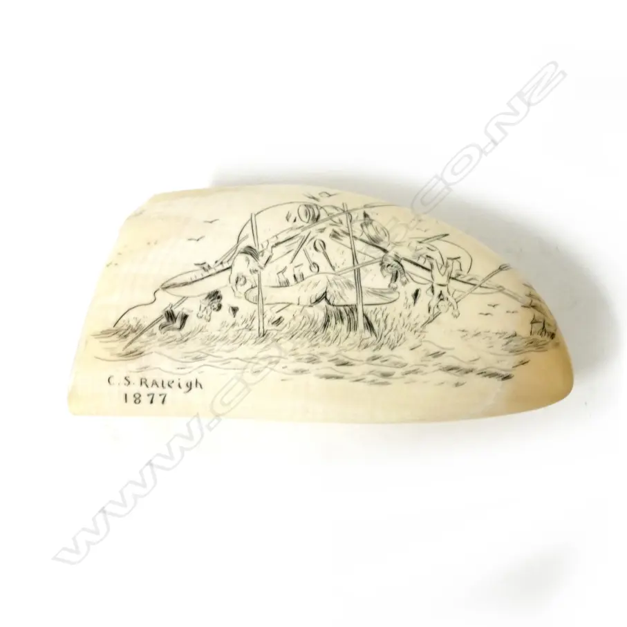 A 20thC scrimshaw whale's tooth Image 1++