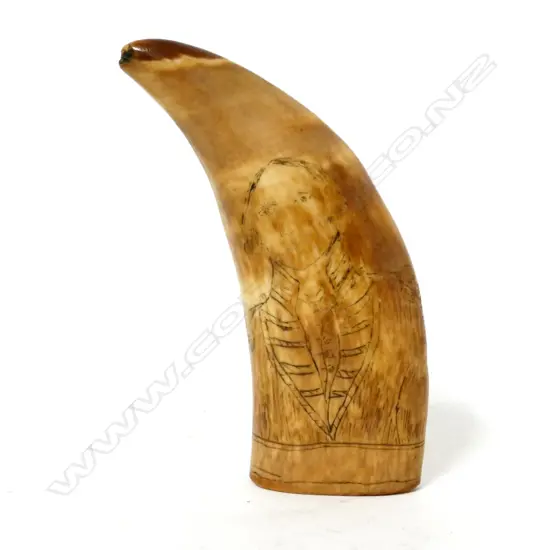 A 19thC scrimshaw whale's tooth of a British naval ship's officer