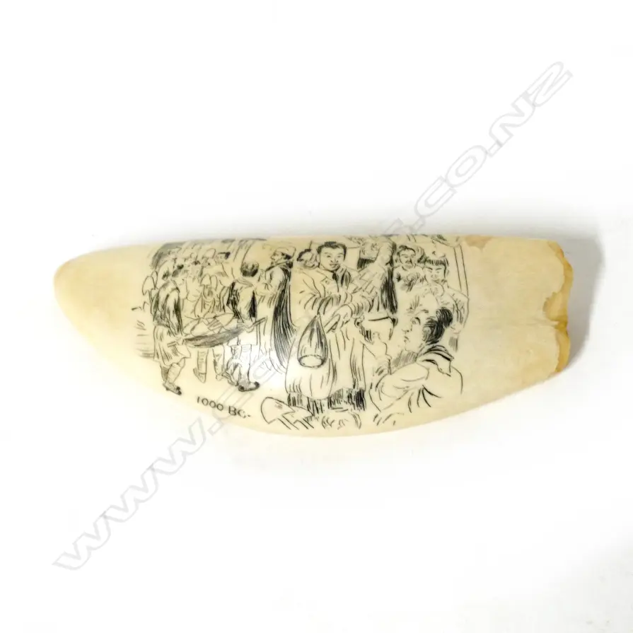 A contemporary scrimshawed whale's tooth Image 1++