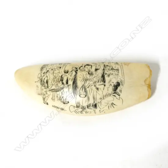 A contemporary scrimshawed whale's tooth
