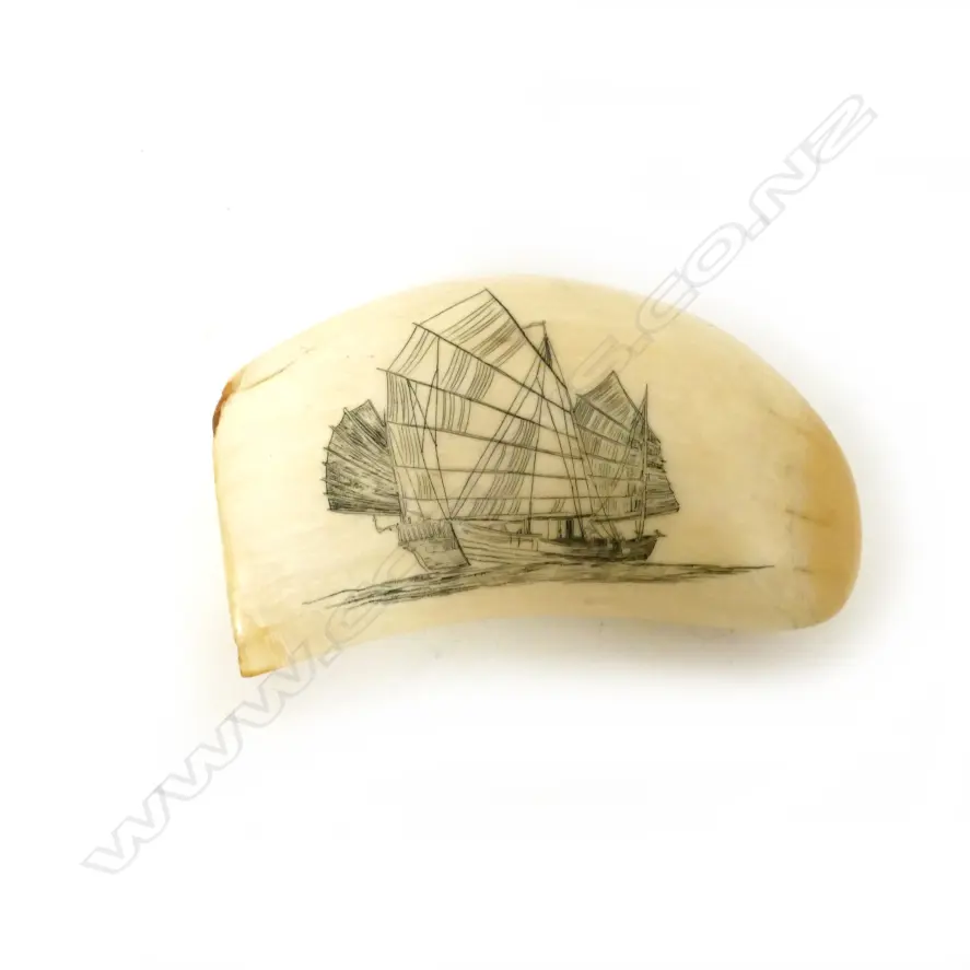 A 20thC scrimshaw whale's tooth Image 1++