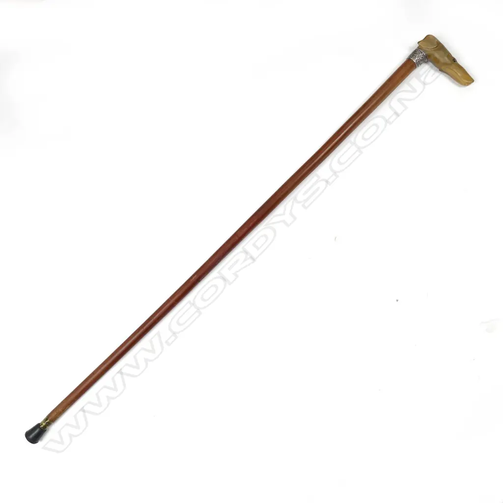 A dog's head handled walking stick Image 1++