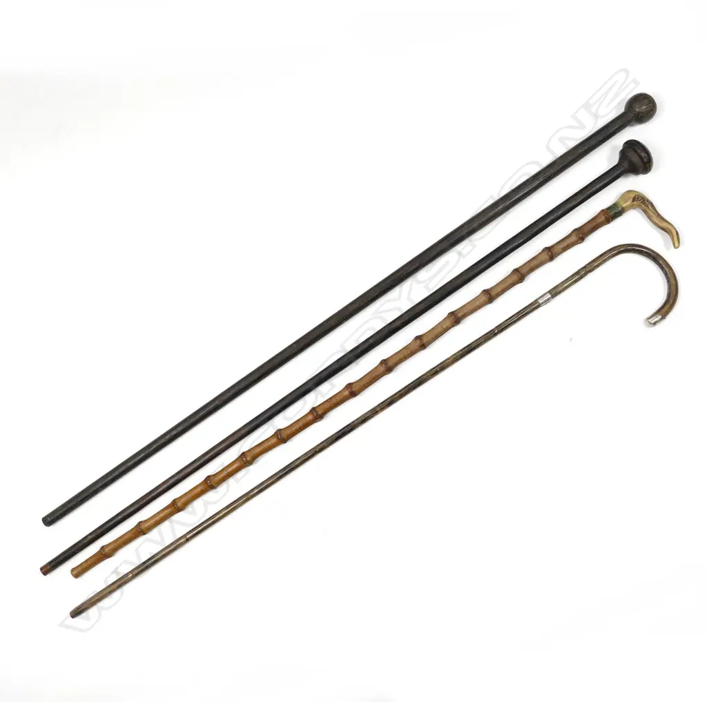 Four various walking sticks Image 1++