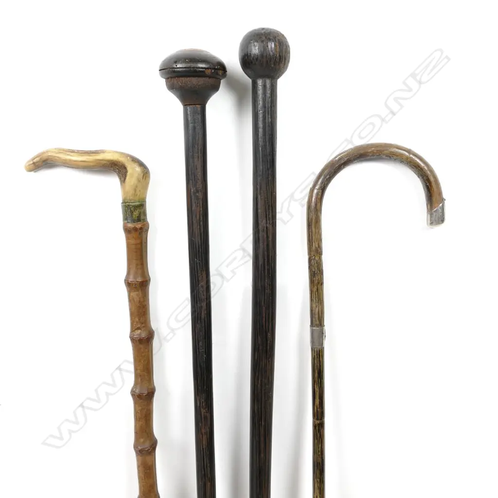 Four various walking sticks Image 1++