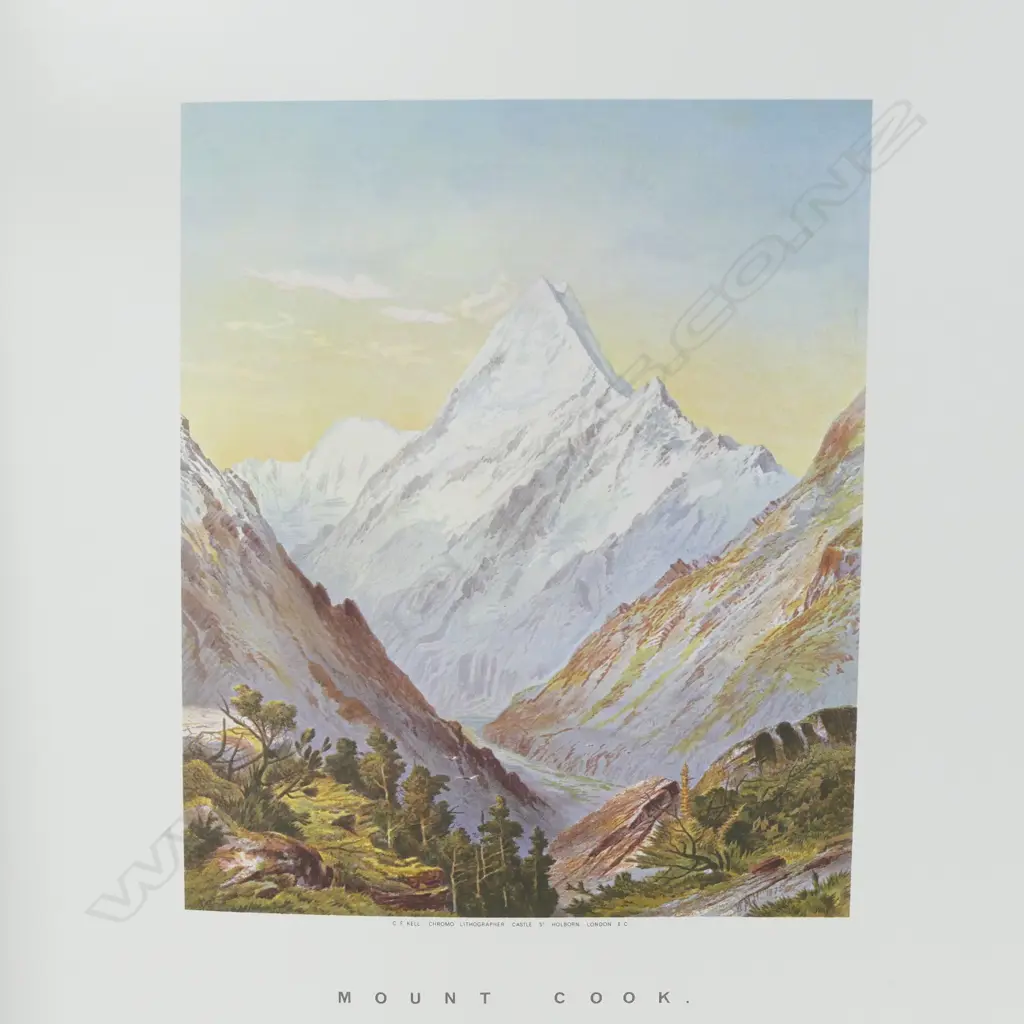 Reprint copy of 'New Zealand Graphic & Descriptive' by C.D. Barraud Image 1++