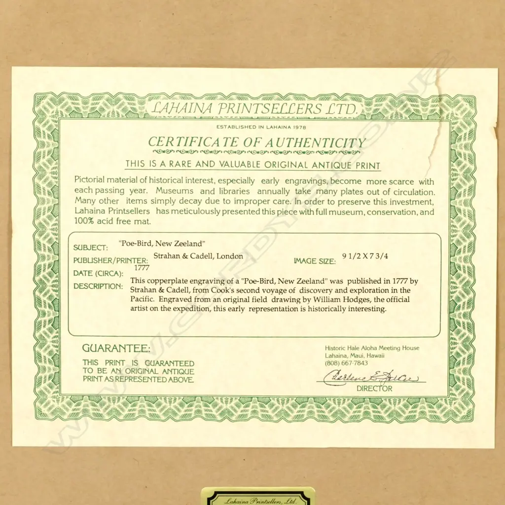 William Hodges Image 1++