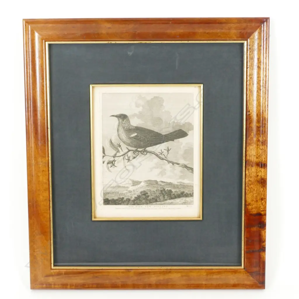 William Hodges Image 1++