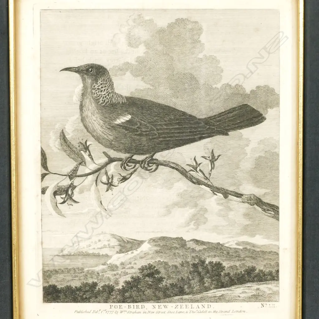 William Hodges Image 1++