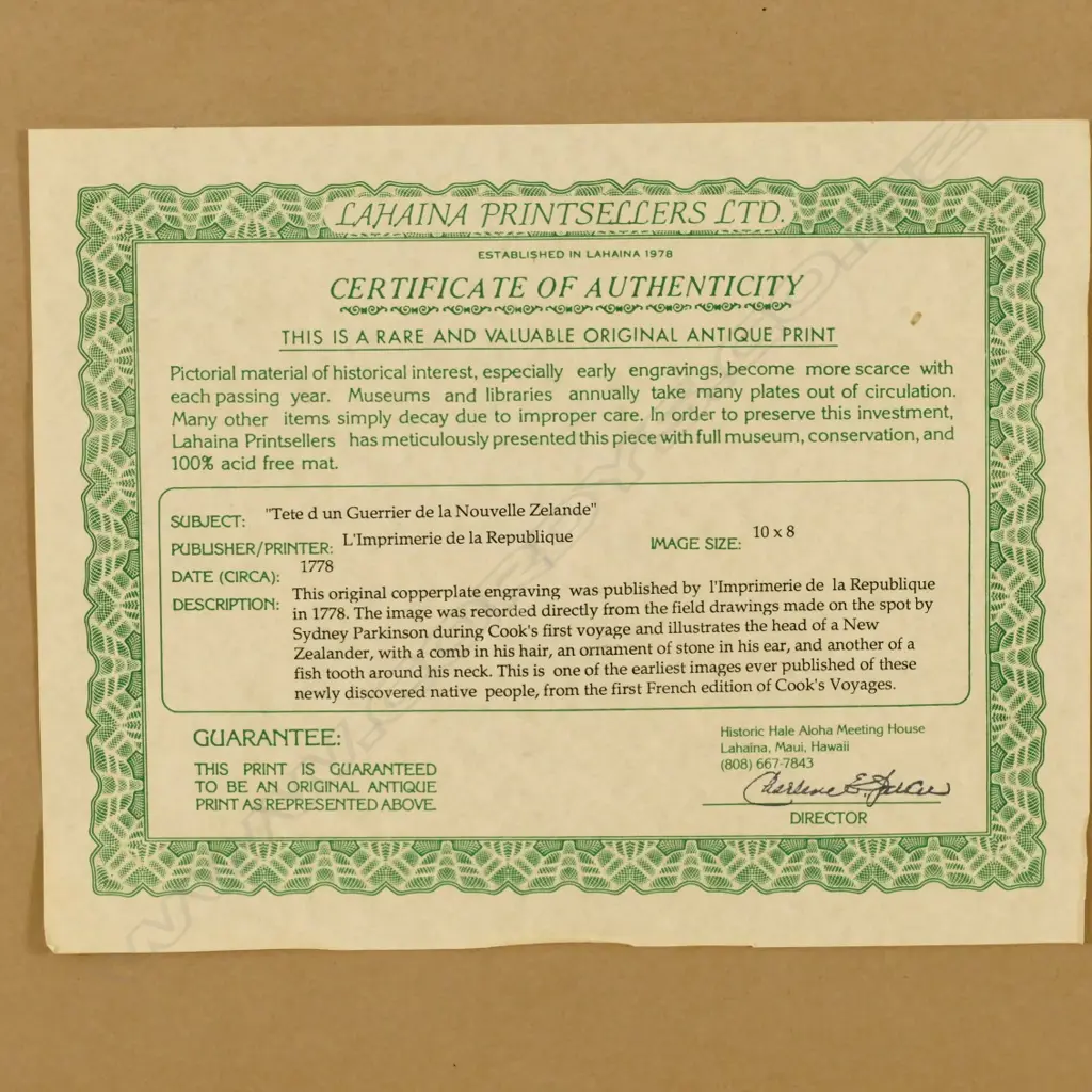 Sydney Parkinson Image 1++