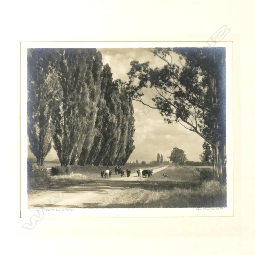 George Chance Image 1++