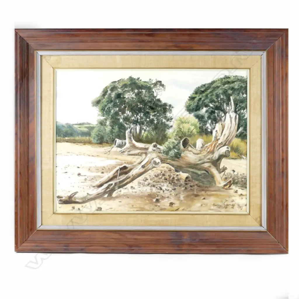 Harry Sangl Image 1++