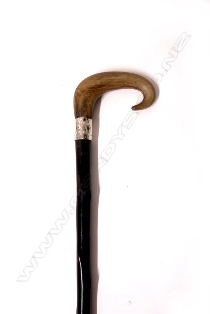 An ebonised walking stick Image 1++