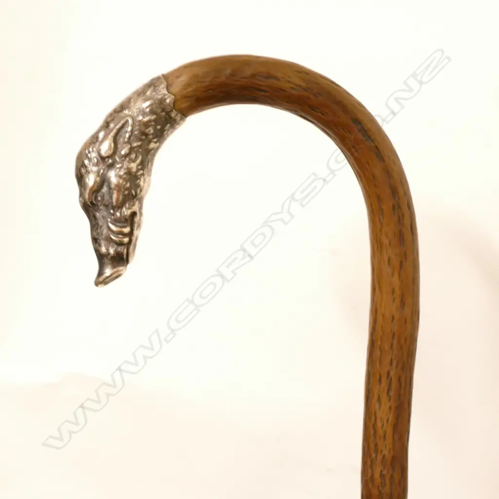 A hazelnut walking stick Image 1++