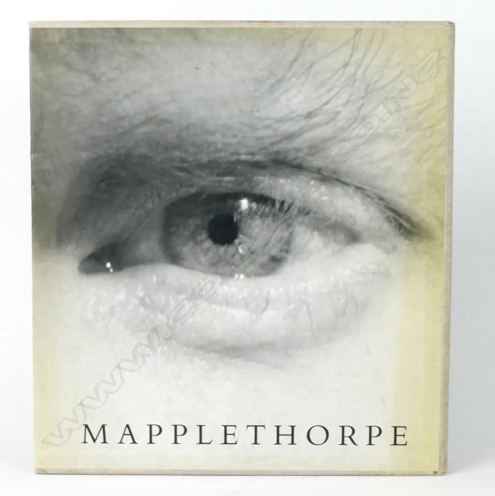 'Mapplethorpe' photographs (prepared in collaboration with the Robert Mapplethorpe Foundation) and Arthur C Danto (essayist) Image 1++