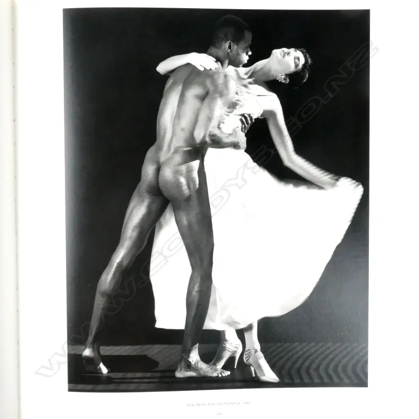 'Mapplethorpe' photographs (prepared in collaboration with the Robert Mapplethorpe Foundation) and Arthur C Danto (essayist) Image 1++