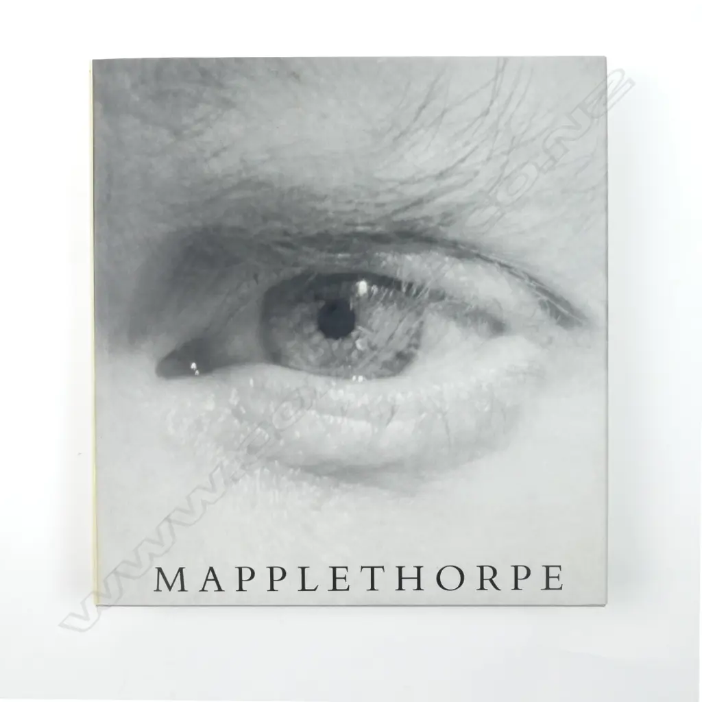 'Mapplethorpe' photographs (prepared in collaboration with the Robert Mapplethorpe Foundation) and Arthur C Danto (essayist) Image 1++