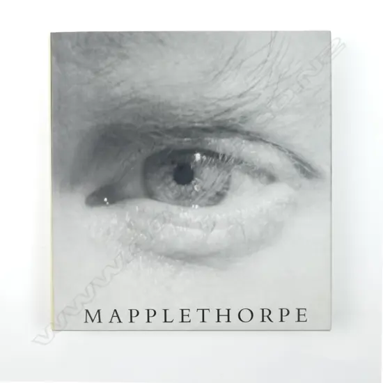 'Mapplethorpe' photographs (prepared in collaboration with the Robert Mapplethorpe Foundation) and Arthur C Danto (essayist)