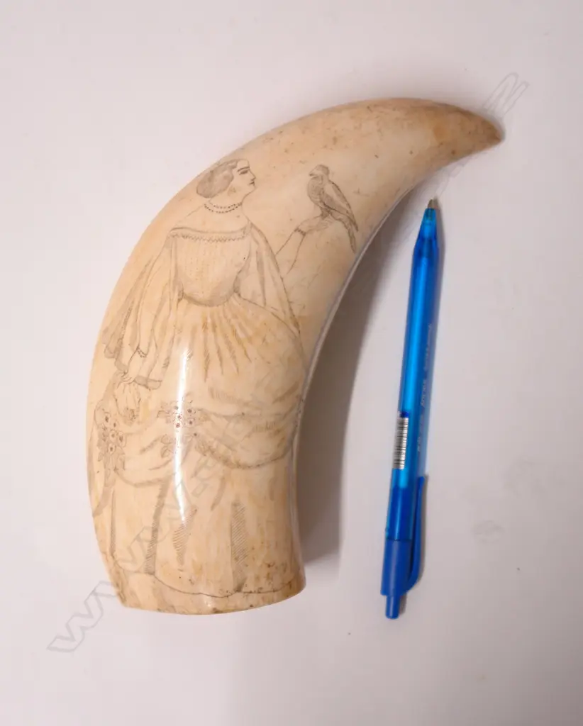 A 19thC large scrimshaw whale's tooth Image 1++