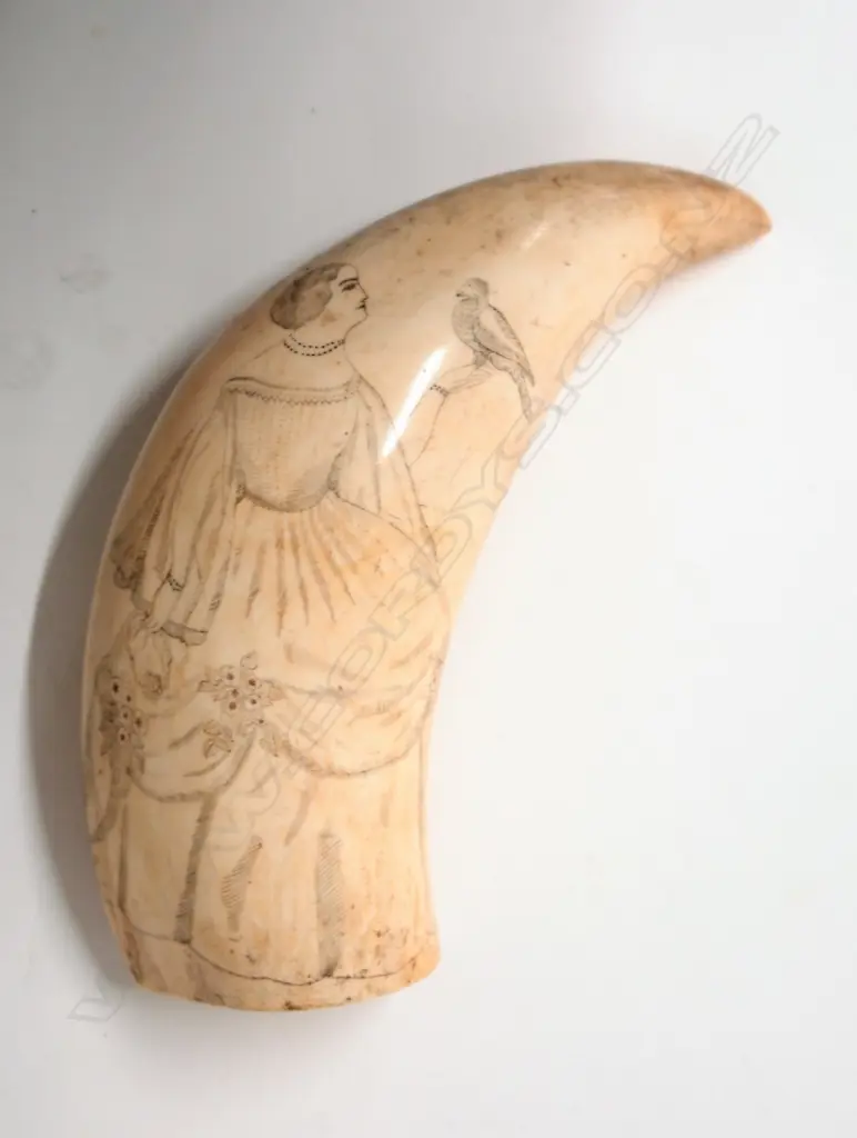 A 19thC large scrimshaw whale's tooth Image 1++