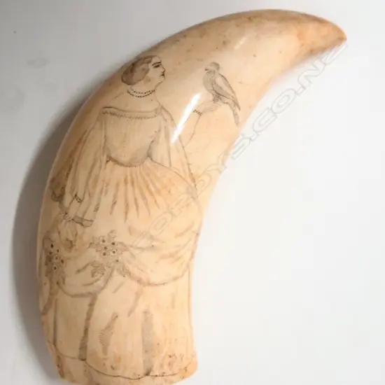 A 19thC large scrimshaw whale's tooth