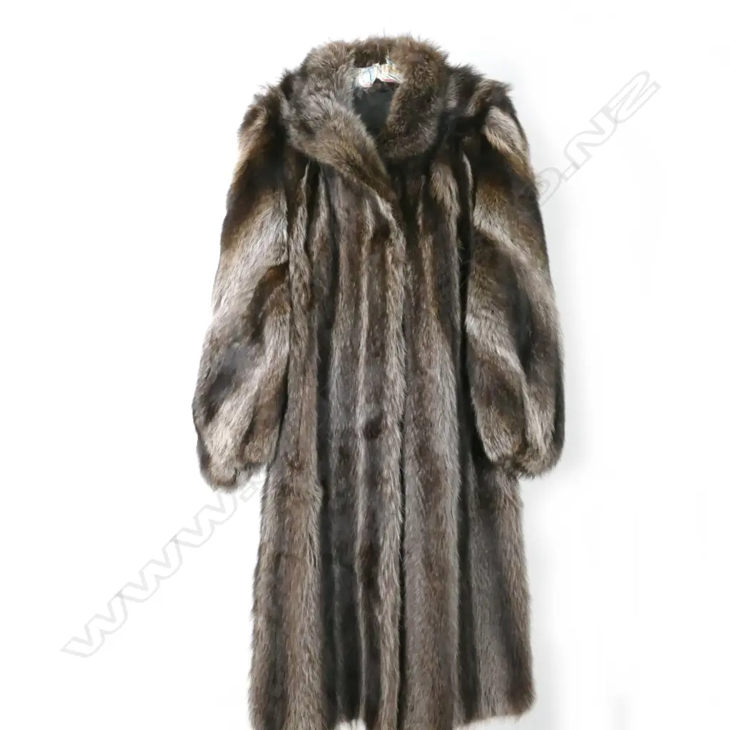 A full length racoon fur coat Image 1++