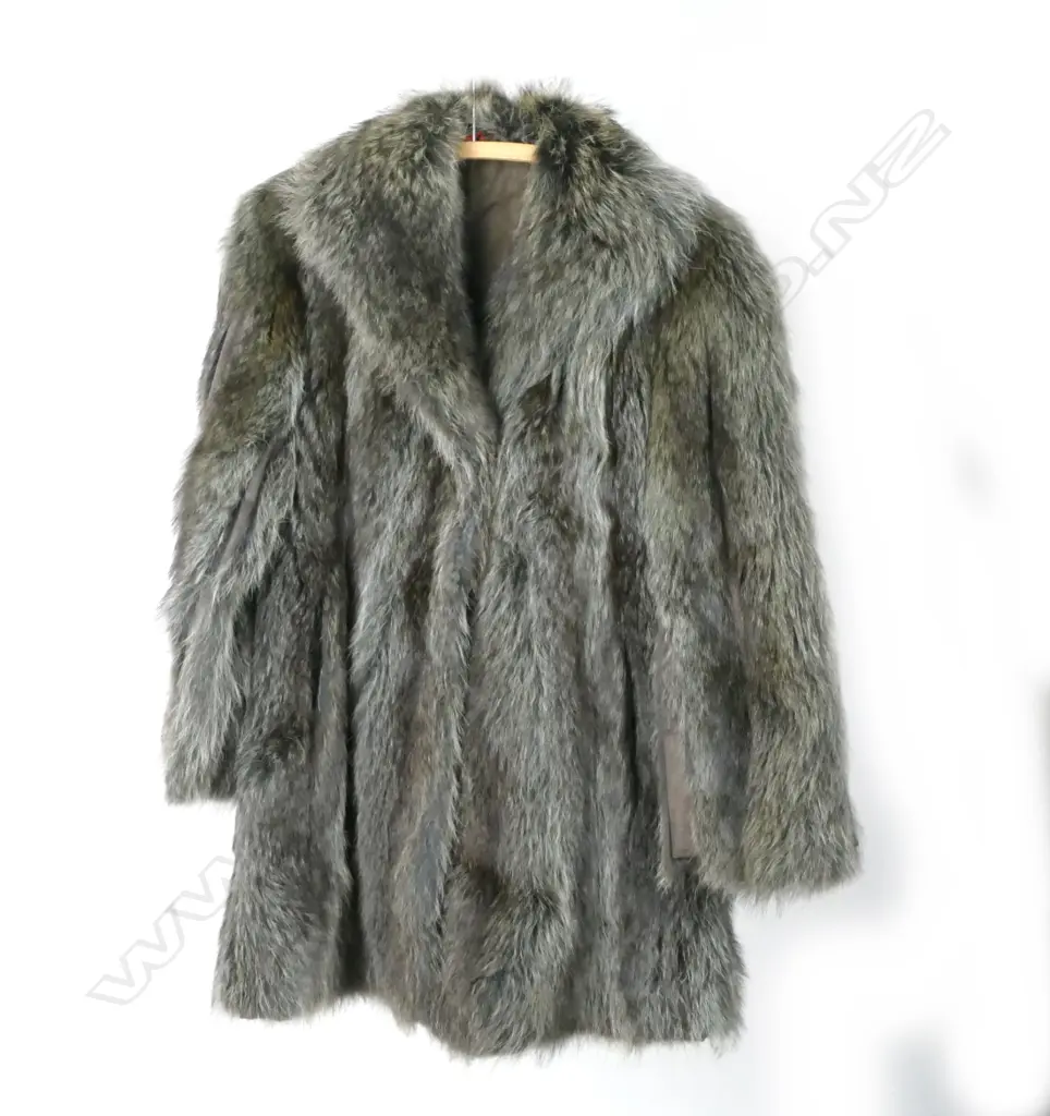 A racoon fur jacket Image 1++