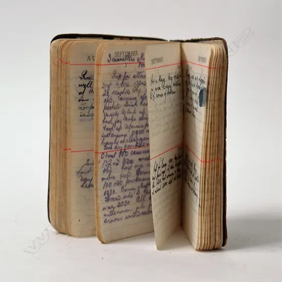 The historic diary kept by 39065 Lt. (later Captain) Edward Vere Hayward of 28th Maori Battalion