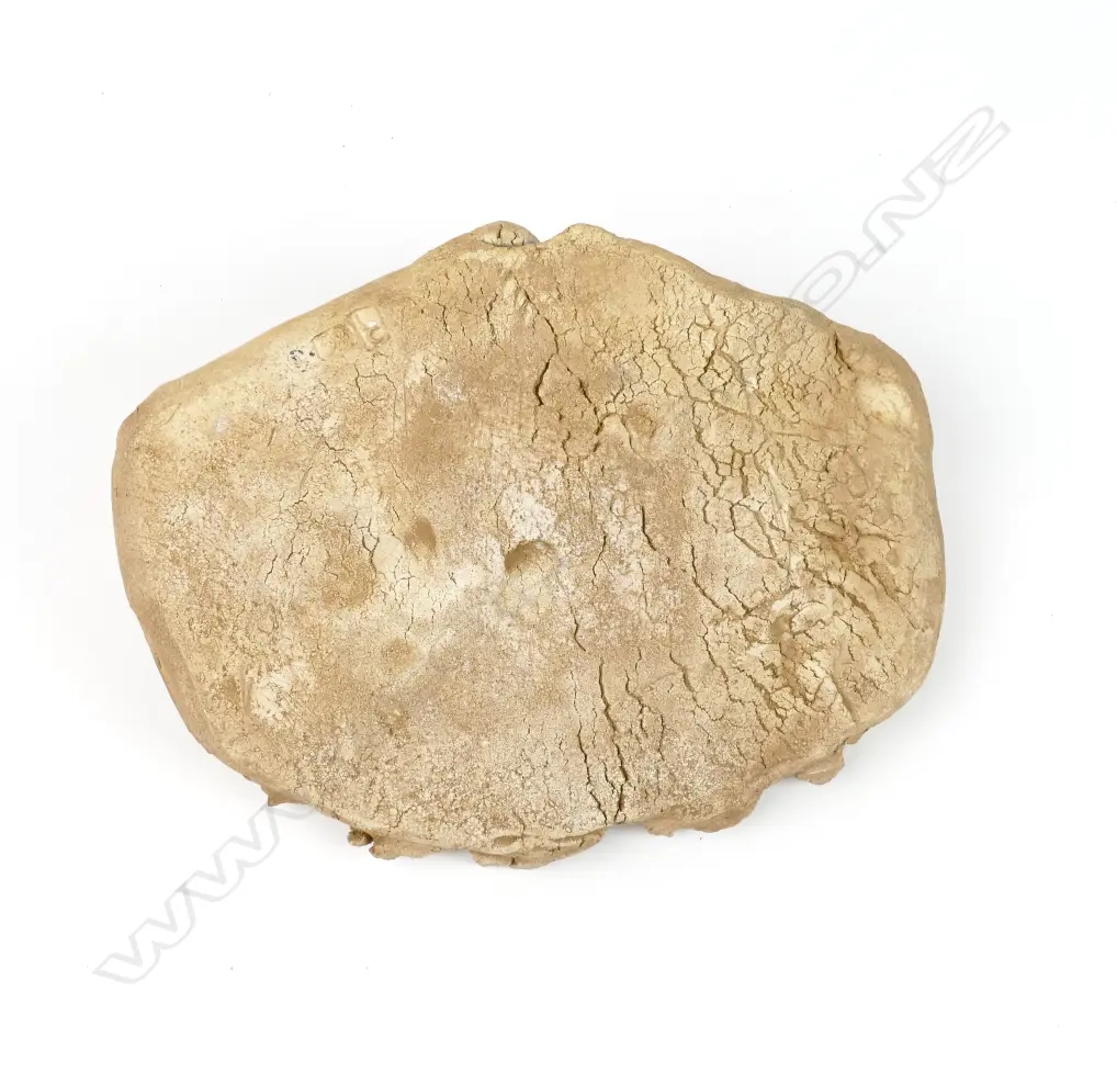 A Len Castle bird-form sculpture Image 1++