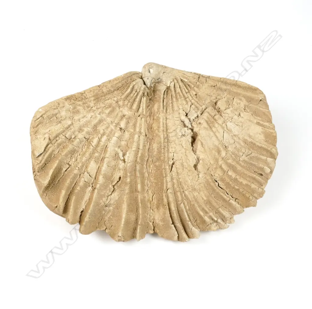 A Len Castle bird-form sculpture Image 1++