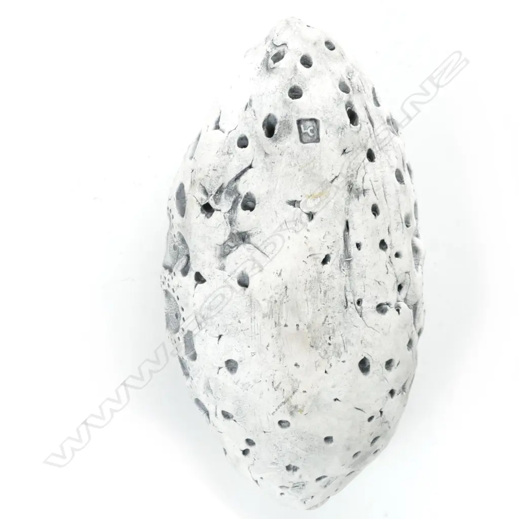 A Len Castle Sea Secret (sponge) Image 1++