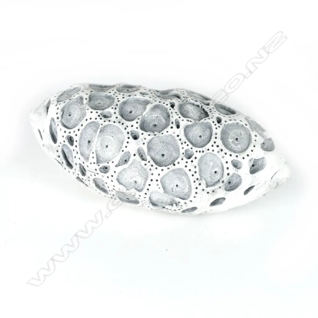 A Len Castle Sea Secret (sponge) Image 1++