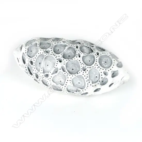 A Len Castle Sea Secret (sponge)