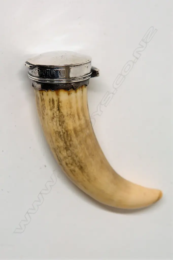 A rare George III whale's tooth and silver mounted snuff mull Image 1++