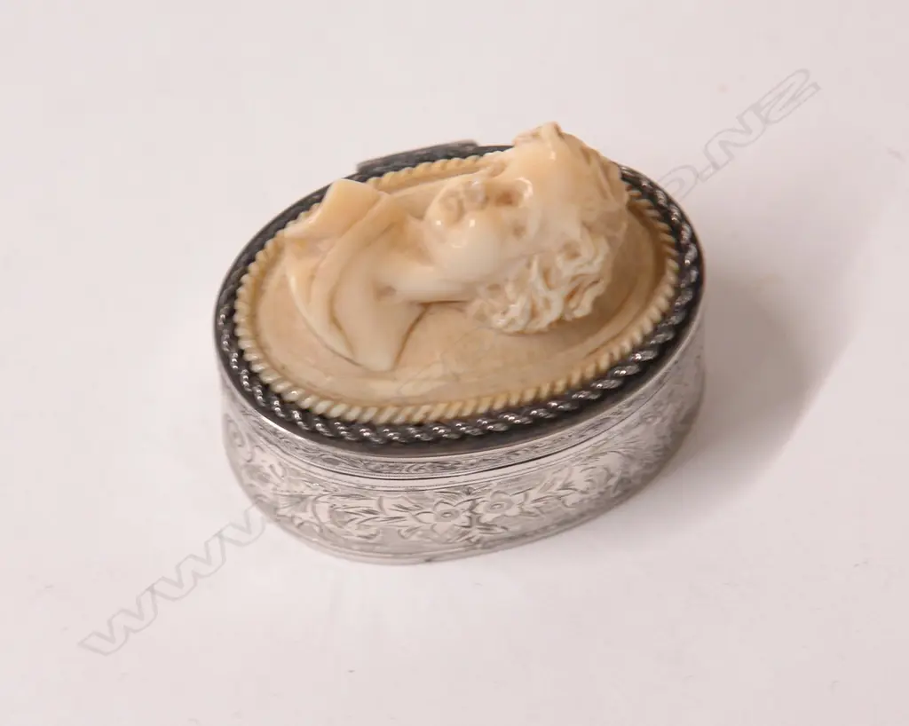 A 19thC silver and ivory mounted snuff box Image 1++