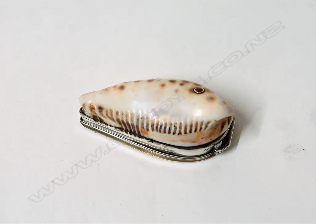 An early 19thC silver and cowrie shell snuff box Image 1++