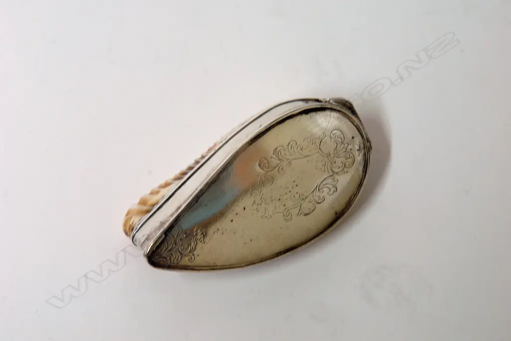 An early 19thC silver and cowrie shell snuff box Image 1++