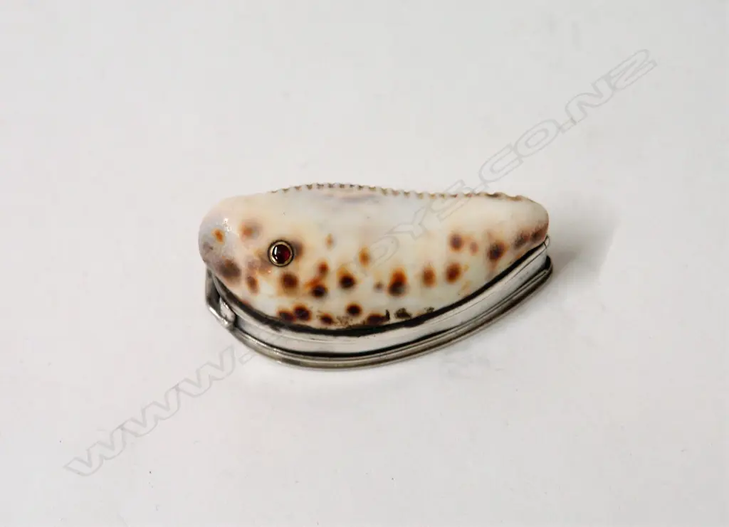 An early 19thC silver and cowrie shell snuff box Image 1++