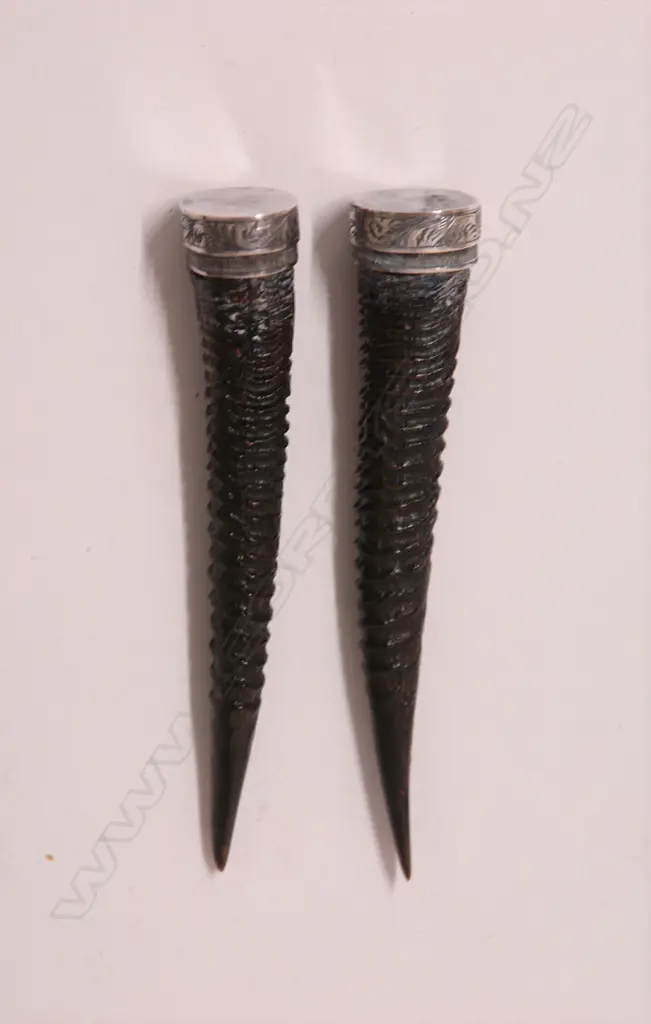 A pair of 19thC tapered small animal horn and silver mounted snuff receptacles Image 1++
