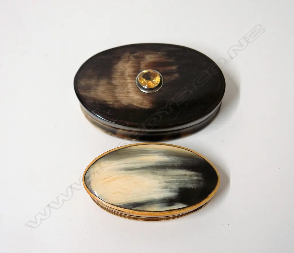 Two 19thC horn snuff boxes Image 1++