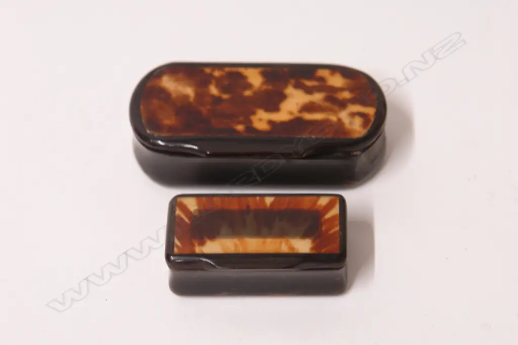 Two 19thC horn and tortoiseshell snuff boxes Image 1++