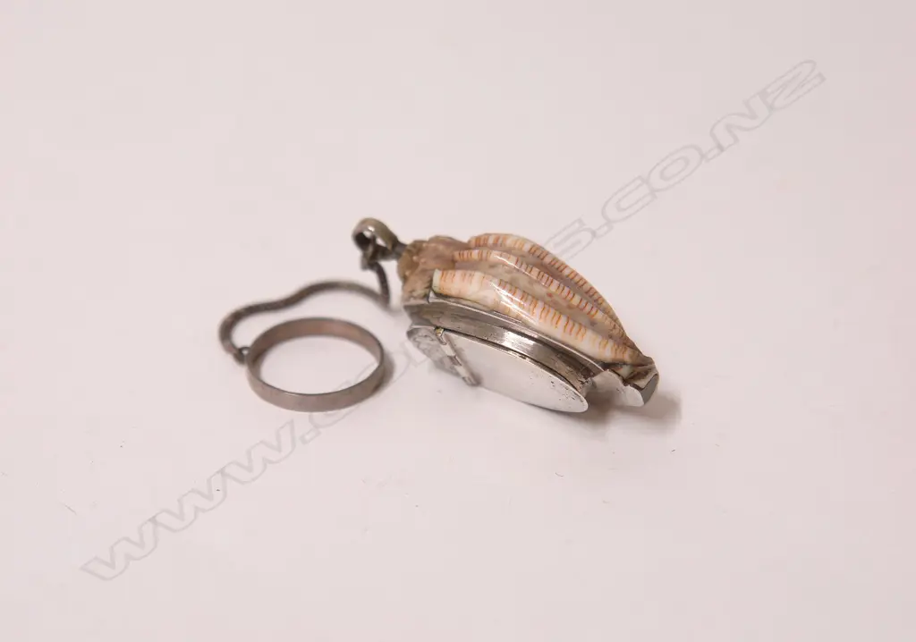 An early 19thC silver and shell vinaigrette Image 1++