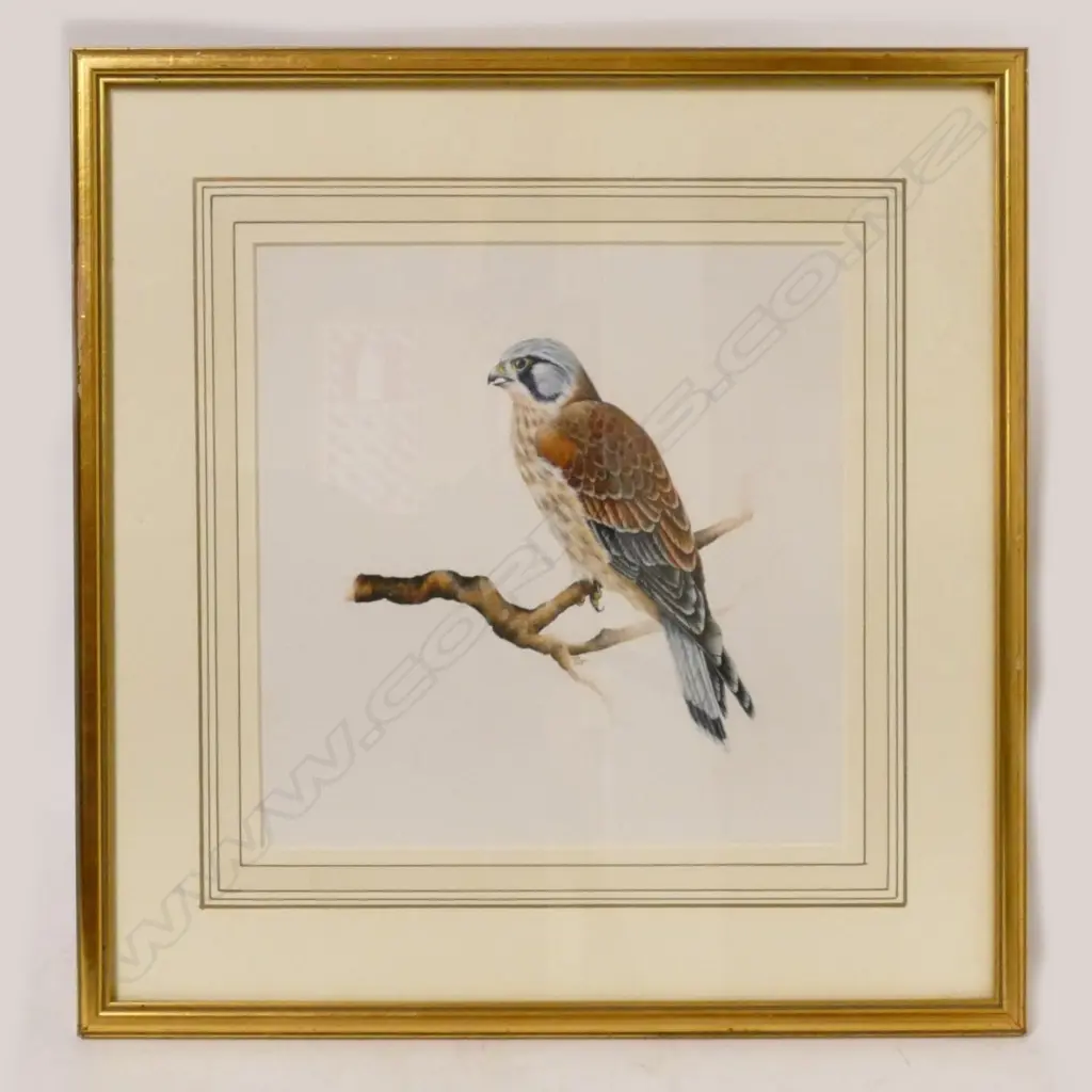 Alison Ormsby Image 1++