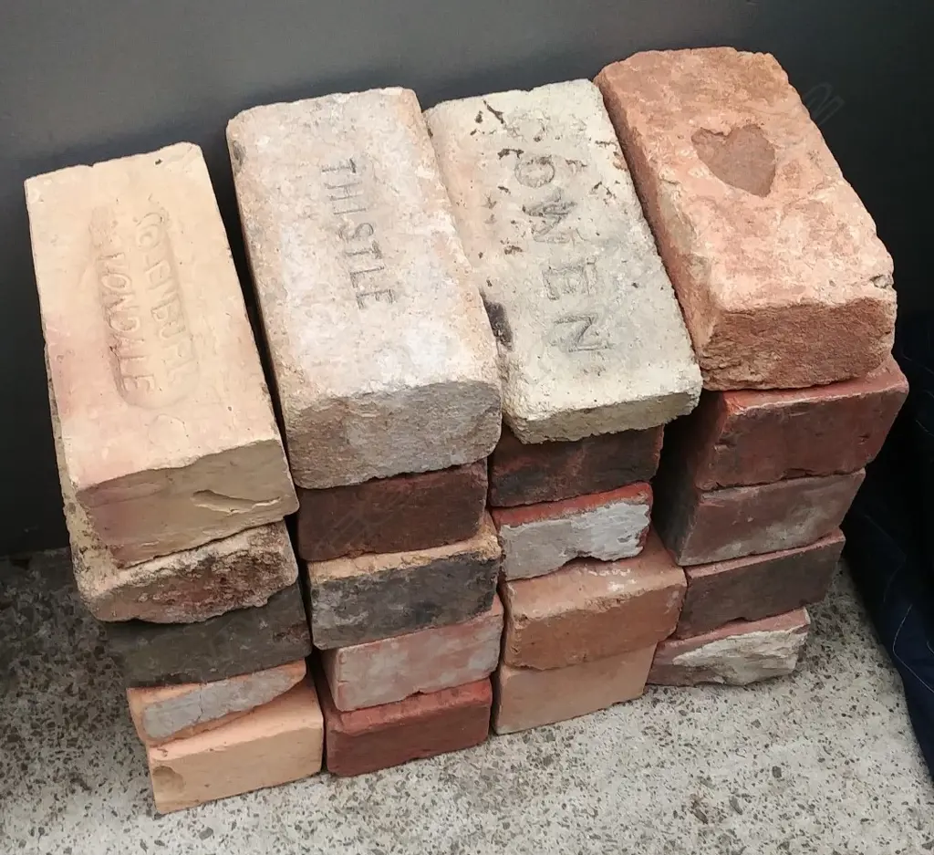 20 VARIOUSLY NAMED NZ BRICKS Image 1++