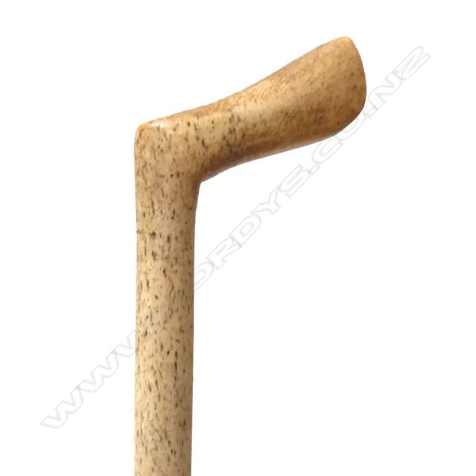 A whalebone walking stick Image 1++