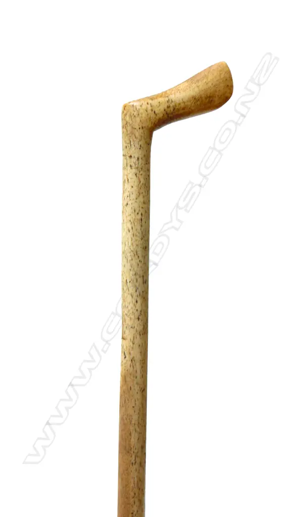 A whalebone walking stick Image 1++