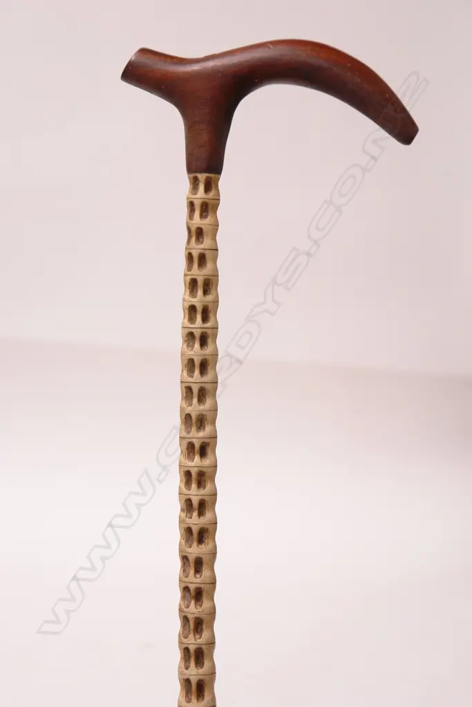 A shark or ray vertebrae walking stick Image 1++