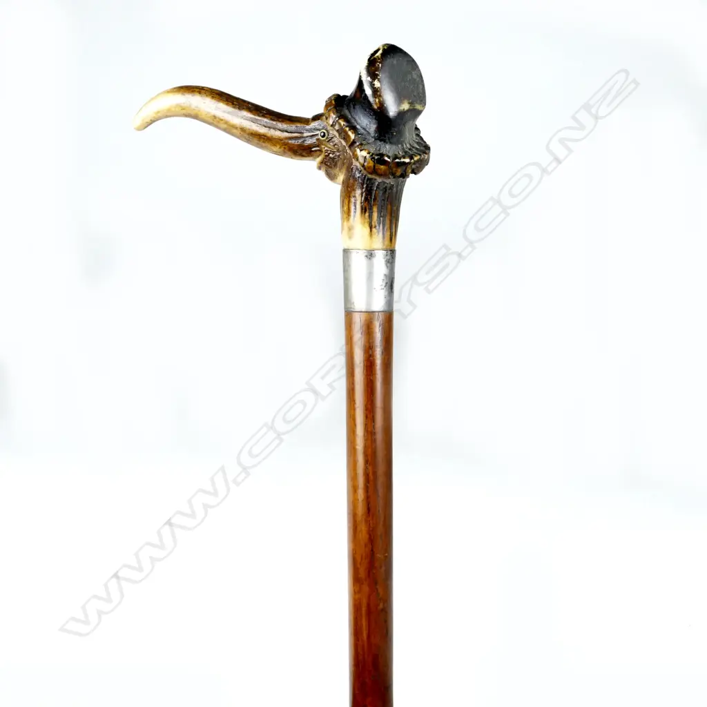 An antler handled mahogany walking stick Image 1++
