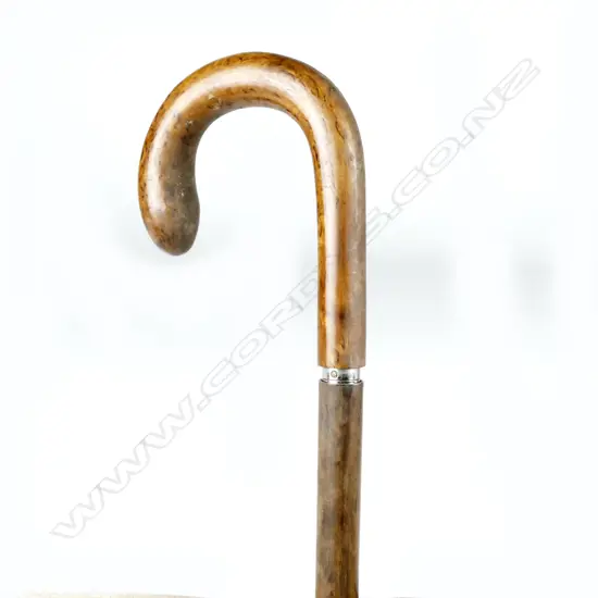 A burr timber concealed umbrella walking stick